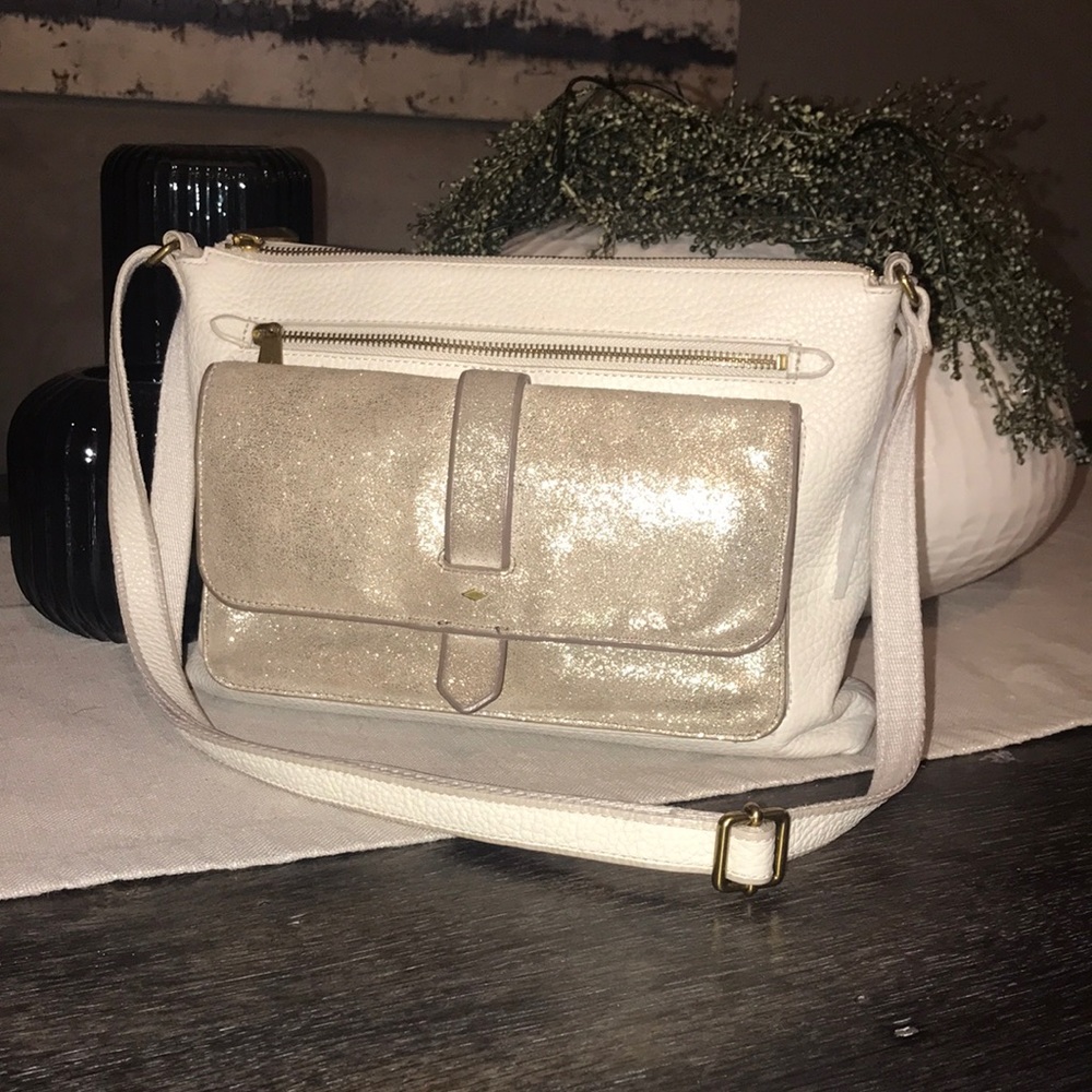 Fossil bag